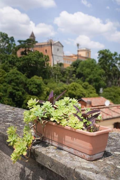 Trasteverina Chic House Roma Esterno foto